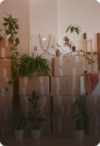 Furniture Moving