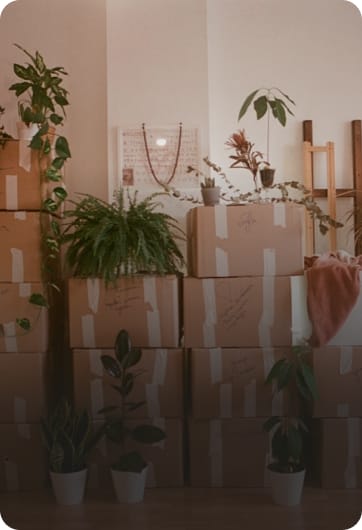 Furniture Moving
